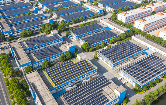 55世纪-购彩大厅welcome(中国游)官方网站